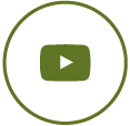 YouTubeIcon-Green 3